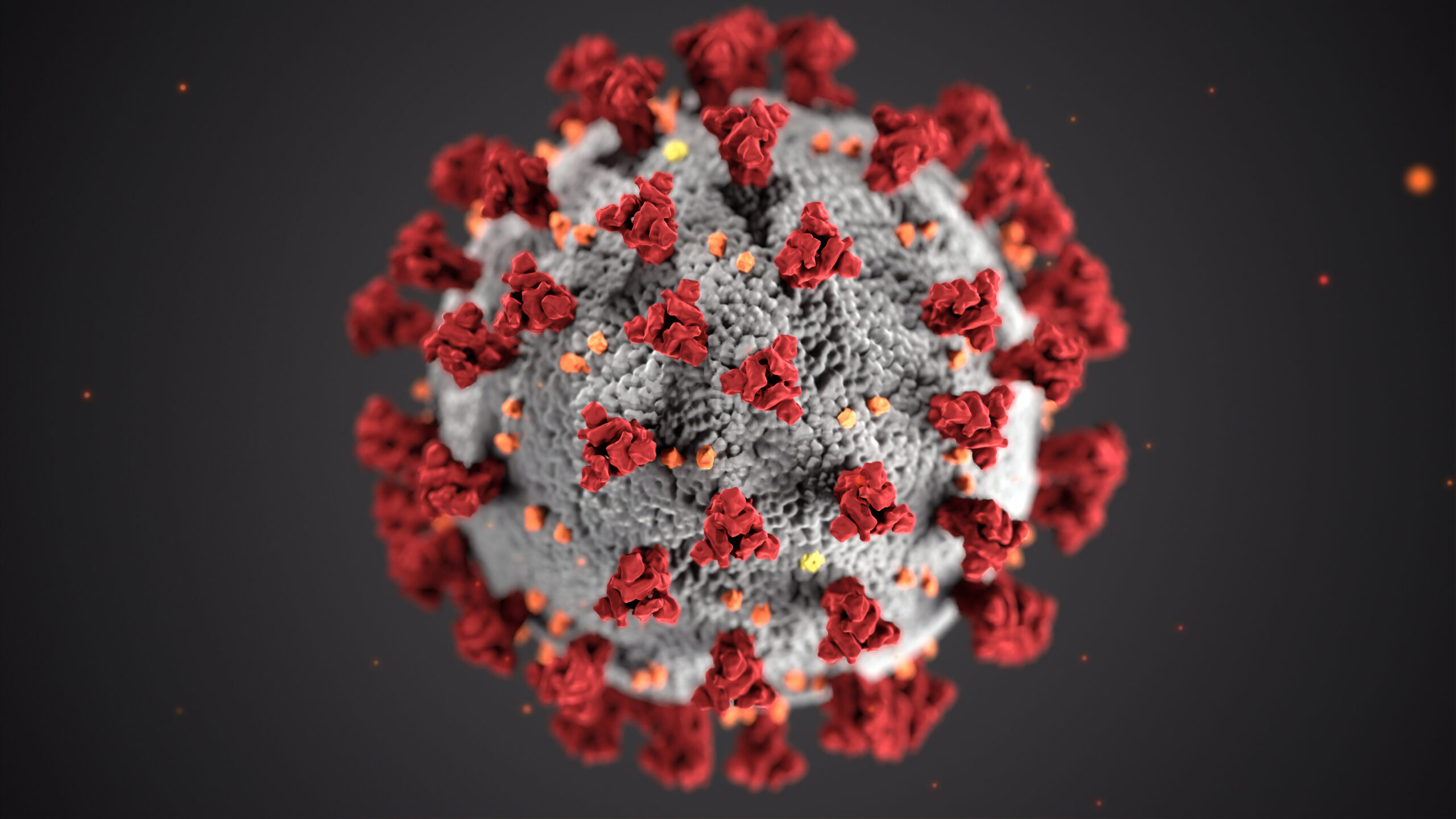 blackcovidpic COVID virus