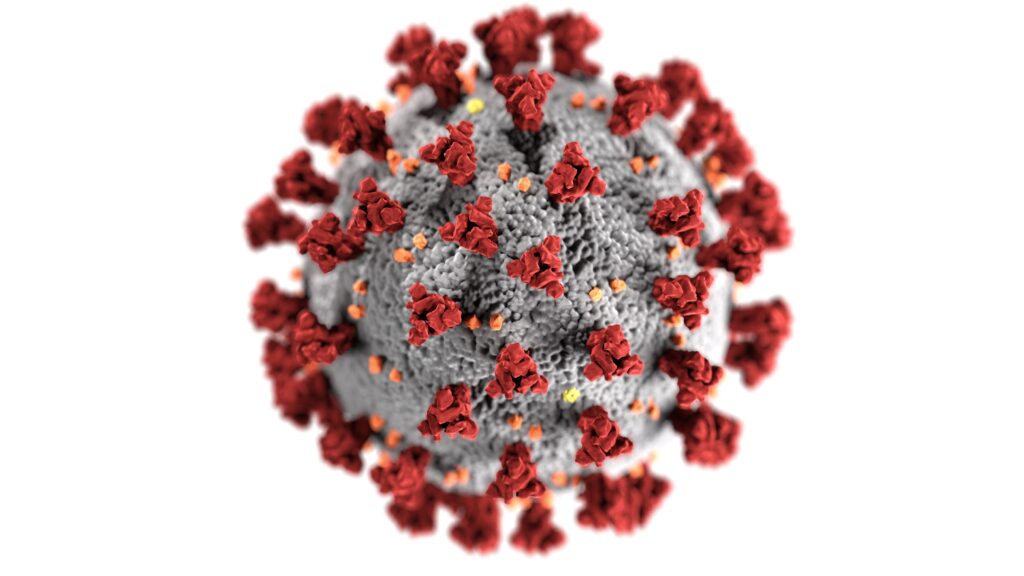 covid COVID Virus